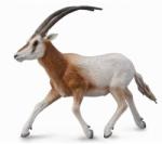 CollectA Figurina Gazela Oryx cu coarne sabie L Collecta (COL88637L) - ookee Figurina