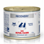 Royal Canin Recovery Dog Cat 195 g