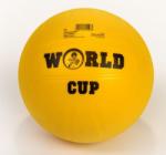 Plasto Ball World Cup