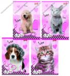  Állatos - My Little Friend Szürke cica A4 kockás füzet, margóval (PI_2018_UNMLF432_8)