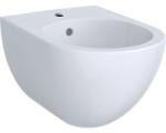 Geberit Bideu suspendat Geberit Acanto (500.601.01.2) - bagno