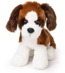 Mumbles Többszínű kölyökkutya sötétbarna hajlékony fülekkel