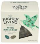 Higher Living Ceai premium AFTER DINNER eco, 20 plicuri, Higher Living