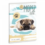 Ars Una Mopsz kölyök vonalas A5 3. osztályos (53600356)