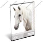  Lovas/Horse - Fehér ló A4 kockás füzet (LI_2018_067)