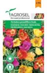 Agrosel Seminte Flori de piatra, simplu melanj (0.6gr), Agrosel, 2PG