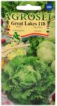 Agrosel Seminte salata Great Lakes 118(3 gr) Agrosel, 2PG