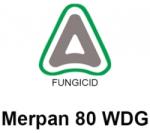 Adama Fungicid Merpan 80WDG (5kg), Adama