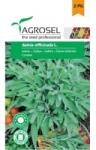 Agrosel Seminte Salvia(2.5 gr), Agrosel, 2PG