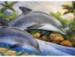 Royal & Langnickel Prima pictura pe numere junior mare - Insula delfinilor (PJL44)