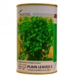 Agrosel Seminte patrunjel Plain Leaved 2(250 gr) Agrosel