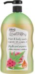 Naturaphy Șampon-gel de duș, cu ulei de eucalipt - Naturaphy Eucalyptus Oil Hair & Body Wash 1000 ml