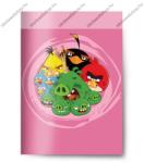 Herlitz Angry Birds szótárfüzet, pink, A5/31-32 (PI_2020_311-2756)