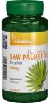 Vitaking Palmier pitic (Saw palmetto) 540 mg, 90 cps, Vitaking