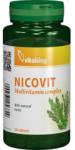 Vitaking Nicovit – Multivitamina cu minerale si plante medicinale, 30 cpr, Vitaking
