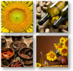  Falfestés COLLAGE 4 rész XOBKOL15E42