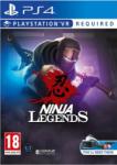 Perp Ninja Legends VR (PS4)