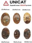  Cabochon din Ammonit Cleoniceras de Forma Ovala - 19-27 x 13-17 x 2-3 mm - 1 Buc