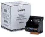 Canon Cap Imprimare Canon Qy6-0049-000 (7132130) - officeclass