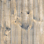 Gekkofix Öntapadós fa hatású fólia - tapéta - Öreg fa (45 cm szélesség) (12905)