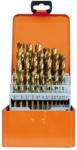 PROJAHN Set burghie metal elicoidale PROJAHN, HSS-TiN DIN 338 Typ N ECO, 1-13mm, 25 buc/set Burghiu