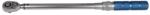 PROJAHN Cheie dinamometrica TORQUE PROFI PLUS PROJAHN 40-200 Nm 1/2