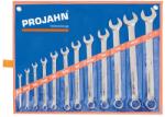 PROJAHN Set de chei fixe si inelare combinate PROJAHN in inch 12 buc/set