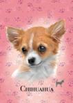 Educa Puzzle Mini Box Chihuahua Educa 100 piese de la 6 ani (EDU18803) Puzzle
