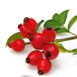 Naturpolc Csipkebogyómag olaj -ORGANIKUS 20-250ml - naturpolc - 7 820 Ft