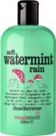Treaclemoon Soft Watermint Rain Душ гел за тяло с прохладен аромат на мента 500 мл