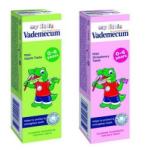 Vademecum Junior Паста за зъби за деца от 0 до 6 години 50мл