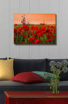 Wallity Tablou decorativ, Wallity, canvas, 1 piesa, multicolor, 50x70cm , flori, maci (529TCR1101)