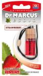 CARMOTION Ecolo illatosító - Strawberry - eper illatú - DM226