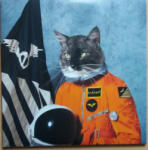 Universal Records Klaxons - Surfing The Void