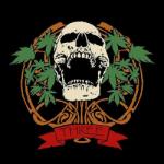 Lightbulb Vaporizer THREE