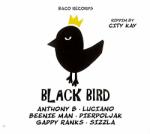 V/A Big Slap & Black Bird
