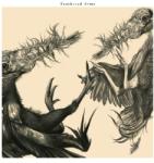 Feathered Arms Feathered Arms - facethemusic - 9 190 Ft