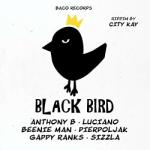 V/A Black Bird Riddim By