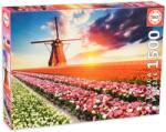 Educa Puzzle Educa din 1500 de piese - Tara lalelelor (EDU18465) Puzzle