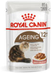 Royal Canin AGEING 12+ GRAVY - idős macska szószos nedves táp (12*85g)