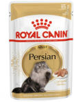 Royal Canin PERSIAN ADULT - Perzsa felnőtt macska nedves táp (12*85g)