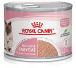 Royal Canin FHN Babycat Mousse 12x195g - tenyesztoitap