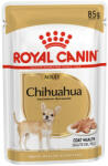 Royal Canin CHIHUAHUA ADULT - Csivava felnőtt kutya nedves táp (12*85g)