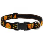 Lupine Pet nyakörv (Jack O'Lantern 2, 5 cm széles 31-50 cm) (WLF71152)