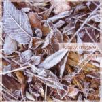 McGee, Kirsty FROST