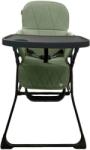 Top Mark Lucky T6065 verde Scaun de masa bebelusi, inaltator