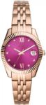 Fossil ES4900