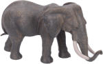 Atlas Figurină elefant african 17cm (WKW101805) Figurina