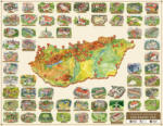 Civertan Grafikai Stúdió Magyarországi várak térkép fóliás, Várak falikép Civertan Grafikai Stúdió 95x70 cm