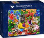 Bluebird Puzzle Kitten Fun 1000 db-os (70183)